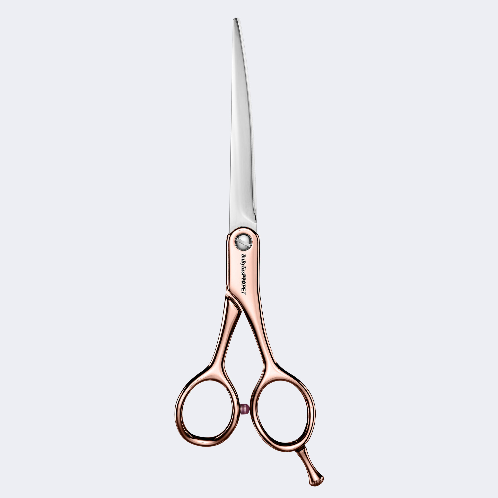 Dog grooming scissors canada best sale