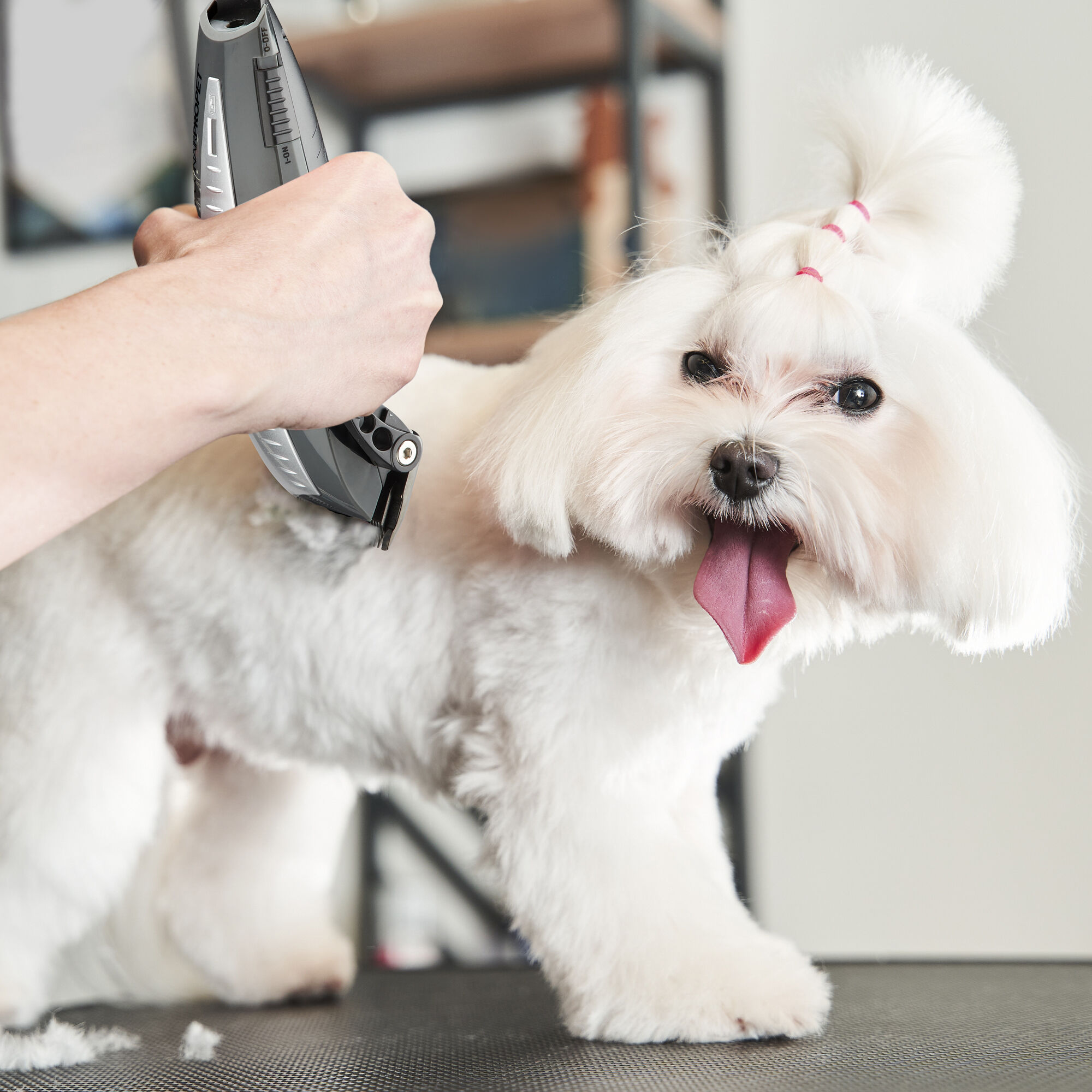 Lithium Battery Cordless Pet Clipper ConairPROPET