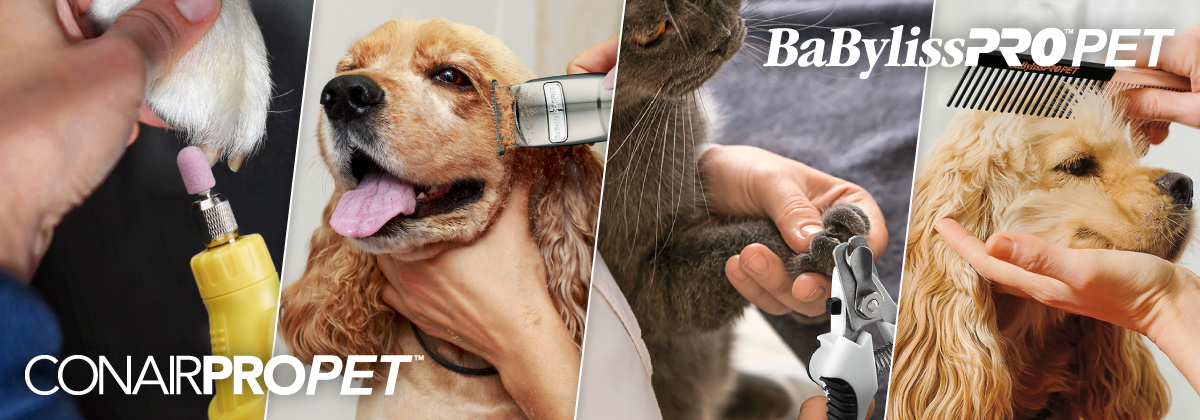 Herramientas de peluquería para mascotas, Recortadoras, Cepillos para perros y gatos